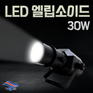 LED 엘립소이드 30W (웜/화이트)